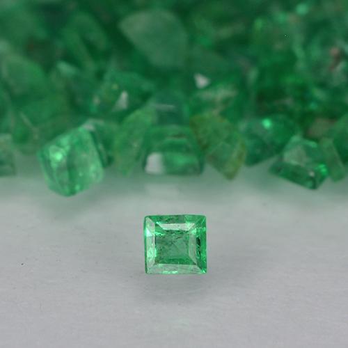 Medium Green Emerald Gem - 0ct Square Facet (ID: 500630)