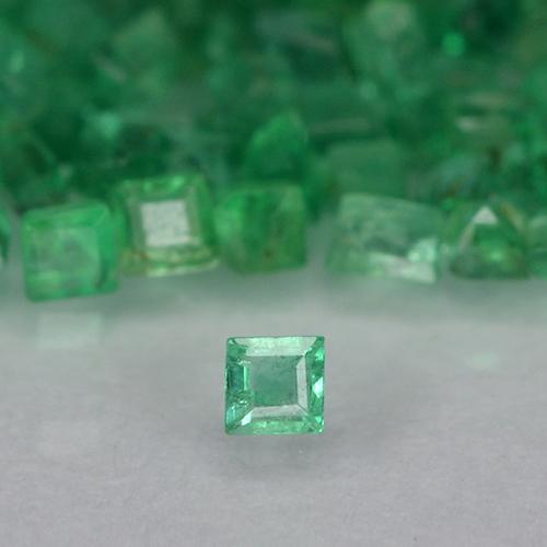 Medium Green Emerald Gem - 0ct Square Facet (ID: 500636)