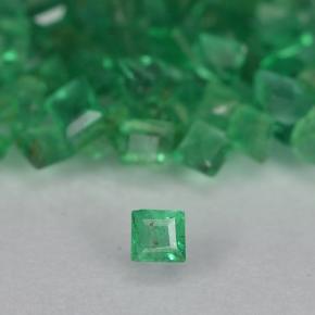 Warm Green Emerald Gem - 0ct Square Step-Cut (ID: 500637)