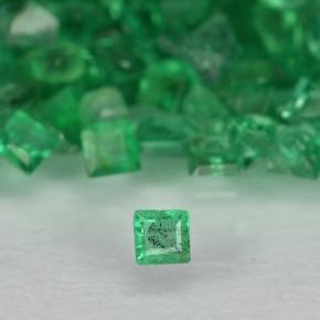 0ct Square Step-Cut Green Emerald Gem for sale 0ct Square Step-Cut Green Emerald Gem (ID: 500874)