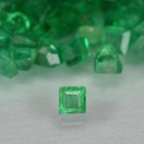 Medium Green Smaragd Edelstein - 0ct Caree Stufenschliff (ID: 500879)