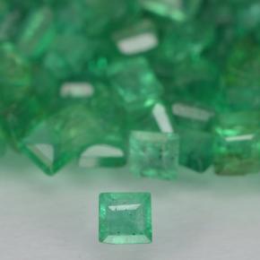 0ct Square Step-Cut Green Emerald Gem for sale 0ct Square Step-Cut Green Emerald Gem (ID: 500886)