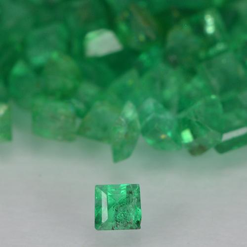Medium Green Smaragd Edelstein - 0ct Carréschliff / Quadrat (ID: 500889)