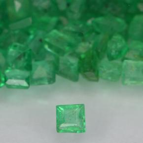 0ct Square Step-Cut Green Emerald Gem for sale 0ct Square Step-Cut Green Emerald Gem (ID: 500891)