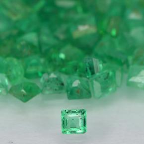 0ct Square Step-Cut Green Emerald Gem for sale 0ct Square Step-Cut Green Emerald Gem (ID: 500897)