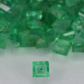 0ct Square Step-Cut Green Emerald Gem for sale 0ct Square Step-Cut Green Emerald Gem (ID: 500902)
