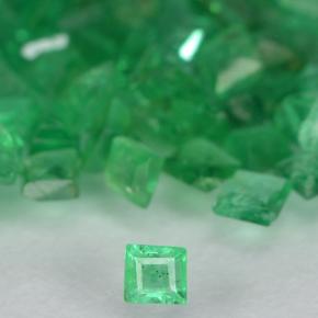 0ct Square Step-Cut Green Emerald Gem for sale 0ct Square Step-Cut Green Emerald Gem (ID: 500903)