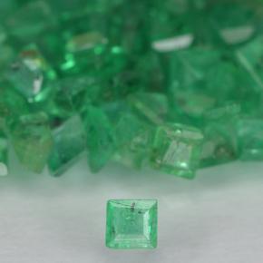 0ct Square Step-Cut Green Emerald Gem for sale 0ct Square Step-Cut Green Emerald Gem (ID: 500904)