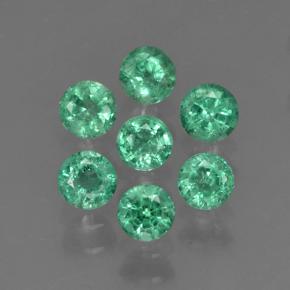0.1ct Round Facet Green Emerald Gem for sale 0.1ct Round Facet Green Emerald Gem (ID: 503892)