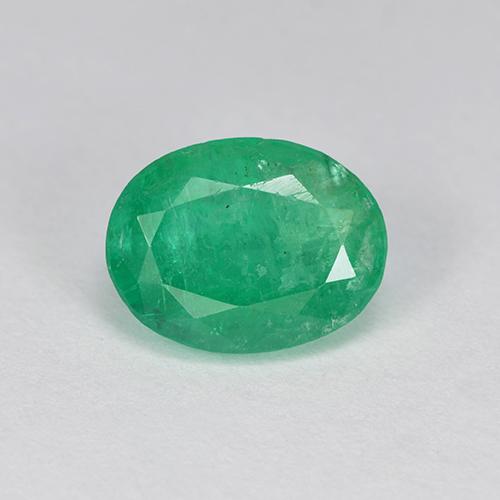 Forest Green Emerald Gem - 1.4ct Oval Facet (ID: 505023)