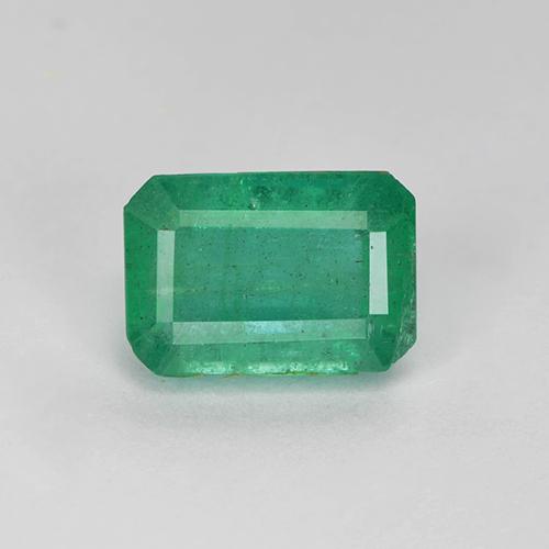 1.2ct Octagon Step Cut Green Emerald Gem for sale 1.2ct Octagon Step Cut Green Emerald Gem (ID: 505027)