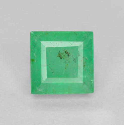 Shamrock Green Smeraldo Gem - 0.4ct Taglio quadrato (ID: 604809)