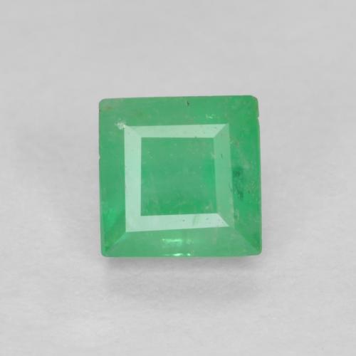 Shamrock Green Smeraldo Gem - 0.3ct Taglio quadrato (ID: 604812)