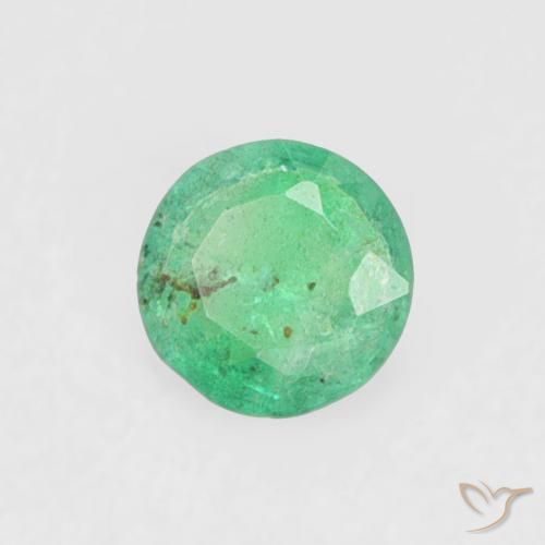 0.15캐럿 라운드 컷 에메랄드 원석 3.6 mm 콜롬비아에서 GemSelect