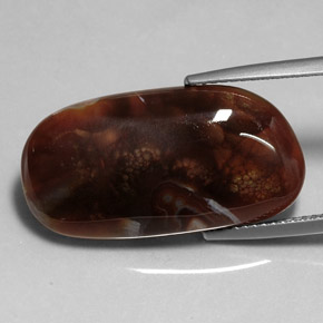 11.99 ct Multicolor Fire Agate Gemstone, Fire Agate Gem in Fancy Cabochon Shape for Sale.