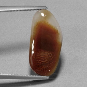 6.66 ct Multicolor Fire Agate Stone, Natural Fire Agate in Fancy Cabochon Shape for Sale