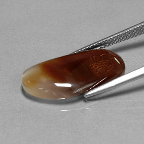 Fire Agate Gemstone in 19.7 x 9.6 mm Size for Sale, Fire Agate Stone in Multicolor Color