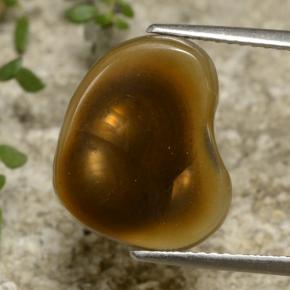 5.4ct Fancy Cabochon Multicolor Fire Agate Gem for sale 5.4ct Fancy Cabochon Multicolor Fire Agate Gem (ID: 471533)