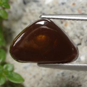 Multicolor Fire Agate Gem - 3.7ct Trillion Cabochon (ID: 475796)