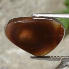 5.37 ct Multicolor Fire Agate Stone, Natural Fire Agate in Trillion Cabochon Shape for Sale