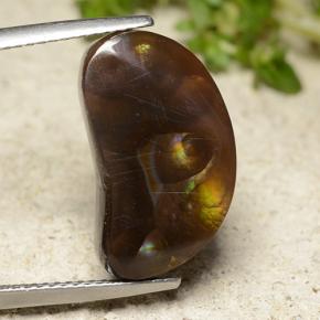 Multicolor Fire Agate Gem - 10ct Fancy Cabochon (ID: 486717)