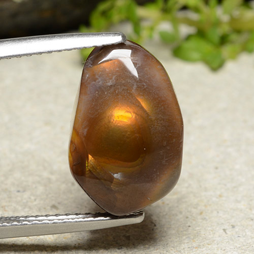 Multicolor Fire Agate Gem - 7.2ct Fancy Cabochon (ID: 486976)