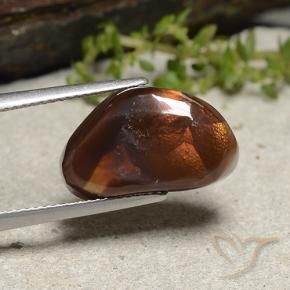 8.54 ct Multicolor Fire Agate Stone, Natural Fire Agate in Shark Fin Cabochon Shape for Sale