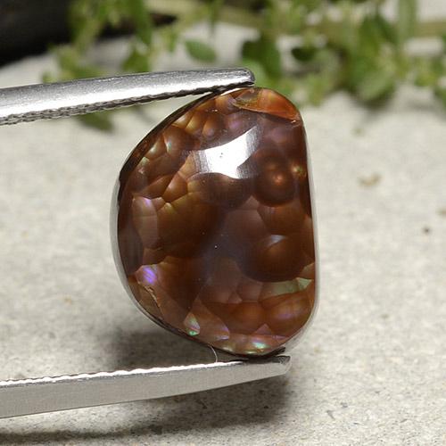 Multicolor Fire Agate Gem - 5.9ct Fancy Cabochon (ID: 487023)