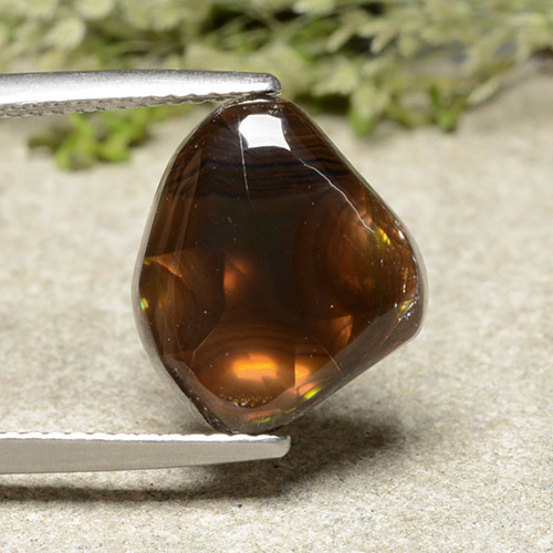 Multicolor Fire Agate Gem - 5.4ct Fancy Cabochon (ID: 487197)