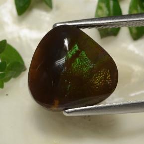 Multicolore Agata di fuoco Gem - 4.8ct Trillion taglio cabochon (ID: 487695)
