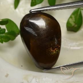 6.23 ct Multicolor Fire Agate Stone, Natural Fire Agate in Shark Fin Cabochon Shape for Sale