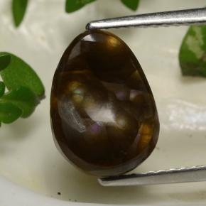 Multicolor Fire Agate Gem - 2.5ct Pear Cabochon (ID: 487702)