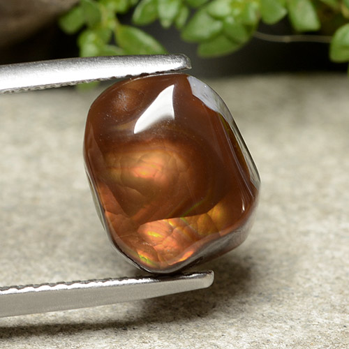Multicolor Fire Agate Gem - 4.9ct Fancy Cabochon (ID: 488064)