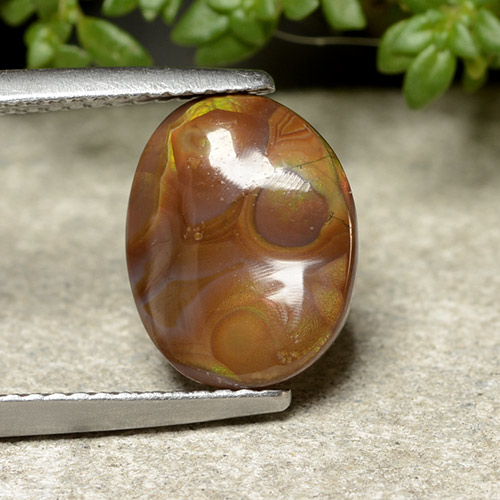 Multicolore Agate de Feu gemme - 2.9ct Ovale Cabochon (ID: 488069)