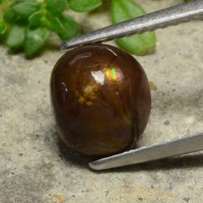 1.6ct Oval Cabochon Multicolor Fire Agate Gem for sale 1.6ct Oval Cabochon Multicolor Fire Agate Gem (ID: 489186)