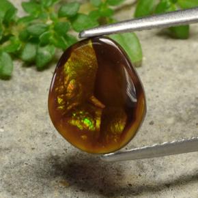 1.6ct Fancy Cabochon Multicolor Fire Agate for sale thumb image of 1.6ct Fancy Cabochon Multicolor Fire Agate (ID: 489187)