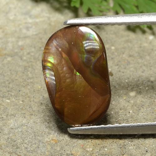 Multicolor Fire Agate Gem - 2.3ct Fancy Cabochon (ID: 489190)