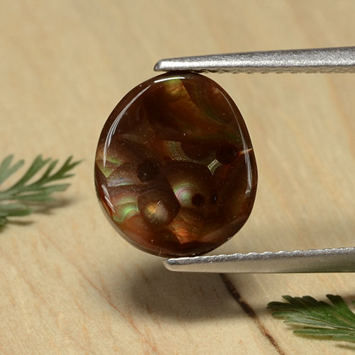 Mehrfarbig Feuerachat Edelstein - 2.3ct Oval Cabochon (ID: 489240)