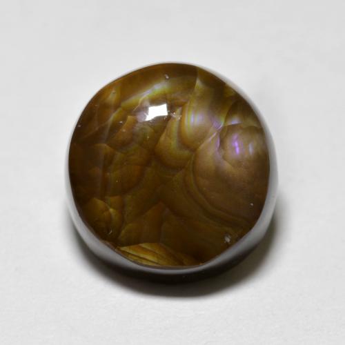 Multicolor Fire Agate Gem - 6.2ct Round Cabochon (ID: 590759)