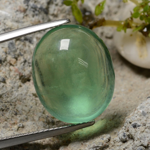 Verde terroso Fluorita Gema - 18.7ct Cabujón Óvalo (ID: 475460)