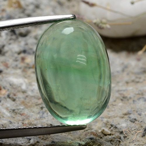 17.5 x 12.4mm Oval Green Fluorite from India, Weight of 15.78ct, Natural untreated Gemstone in Transparent Clarity, 1pc Oval Cabochon Fluorite - Color: Earthy Green, Mohs Hardness of 4, Photo A