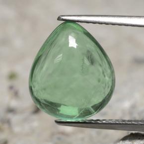 8ct Pear Cabochon Green Fluorite Gem for sale 8ct Pear Cabochon Green Fluorite Gem (ID: 475722)