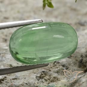 7.35 ct Green Fluorite Stone, Natural Fluorite in Oval Cabochon Shape for Sale