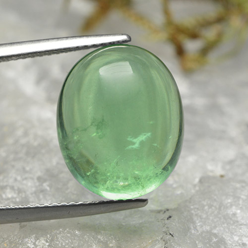 Fluorite 15,5 x 12,8mm verde Ovale cabochon dall'India, peso di 15,54 ct, gemma naturale non trattati in purezza Transparent, 1 pezzo Fluorite - Colore: Verde chiaro, durezza Mohs di 4, Photo A