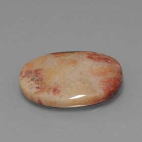 15.17 ct Multicolor Fossil Coral Stone, Natural Fossil Coral in Oval Cabochon Shape for Sale