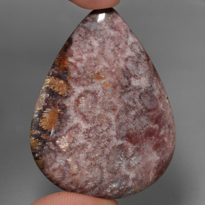 65.6ct Pear Cabochon Multicolor Fossil Coral Gem for sale 65.6ct Pear Cabochon Multicolor Fossil Coral Gem (ID: 447464)