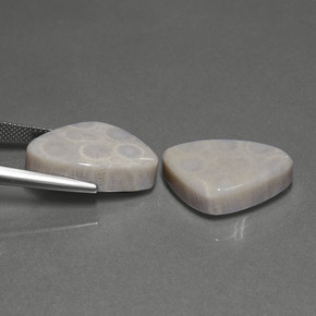 Fossil Coral Gemstone in 21 x 14.2 mm Size for Sale, Fossil Coral Stone in Multicolor Color