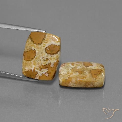 19.08 ct Cushion Fossil Coral, 16.3 x 12.5 mm From Indonesia, Photo A