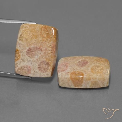 35.05 ct Cushion Fossil Coral, 18.6 x 14.3 mm From Indonesia, Photo A