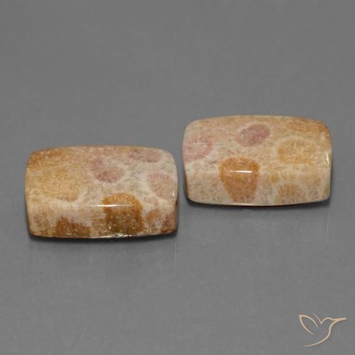 35.05 ctw Multicolor Fossil Coral Stones, Natural Fossil Coral in Cushion Cabochon Shape for Sale